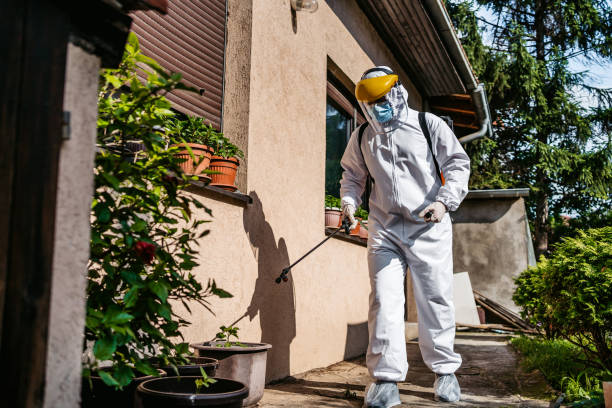 Best Pest Control Treatment  in Union City, OK