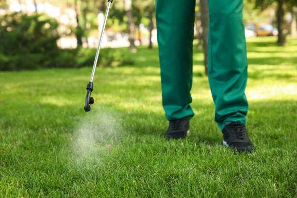 Best Affordable Pest Control Services  in Union City, OK