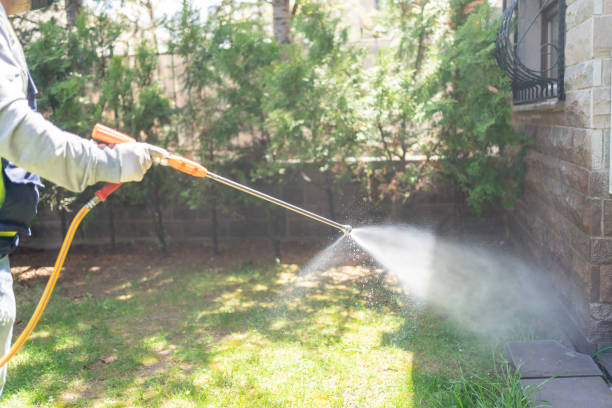 Best Bird Control  in Union City, OK